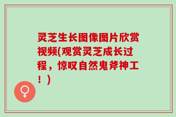 灵芝生长图像图片欣赏视频(观赏灵芝成长过程,惊叹自然鬼斧神工!) 灵芝生长图像图片欣赏视频(观赏灵芝成长过程,惊叹自然鬼斧神工!)