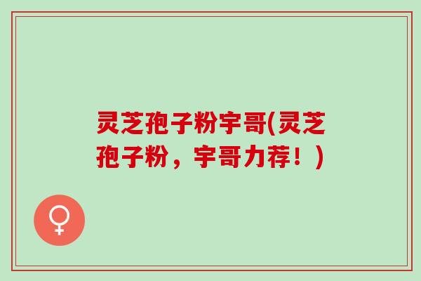 灵芝孢子粉宇哥(灵芝孢子粉，宇哥力荐！)