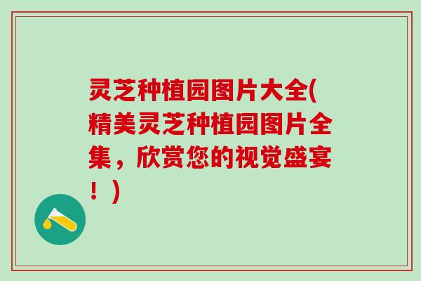 灵芝种植园图片大全(精美灵芝种植园图片全集，欣赏您的视觉盛宴！)