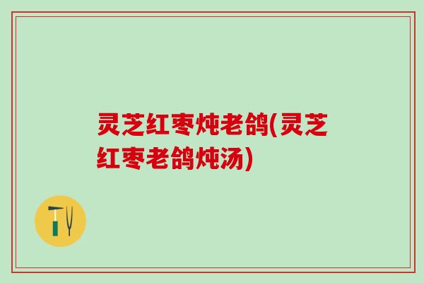 灵芝红枣炖老鸽(灵芝红枣老鸽炖汤)
