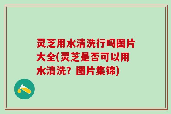 灵芝用水清洗行吗图片大全(灵芝是否可以用水清洗？图片集锦)