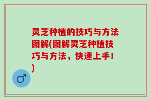 灵芝种植的技巧与方法图解(图解灵芝种植技巧与方法，快速上手！)