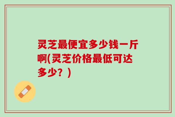 灵芝便宜多少钱一斤啊(灵芝价格低可达多少?) 灵芝便宜多少钱一斤啊(灵芝价格低可达多少?)