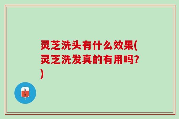 灵芝洗头有什么效果(灵芝洗发真的有用吗?) 灵芝洗头有什么效果(灵芝洗发真的有用吗?)
