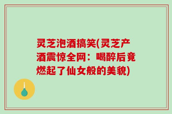 灵芝泡酒搞笑(灵芝产酒震惊全网：喝醉后竟燃起了仙女般的美貌)