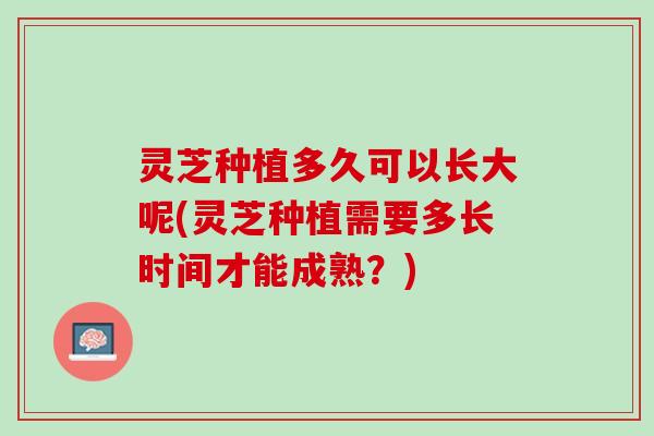 灵芝种植多久可以长大呢(灵芝种植需要多长时间才能成熟？)