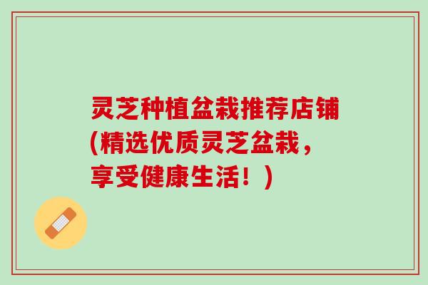 灵芝种植盆栽推荐店铺(精选优质灵芝盆栽，享受健康生活！)