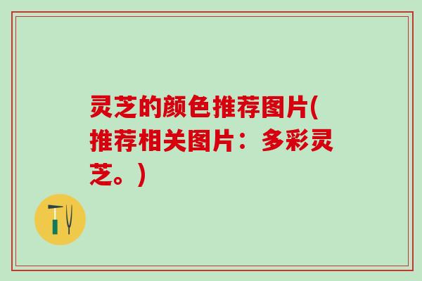 灵芝的颜色推荐图片(推荐相关图片：多彩灵芝。)