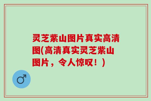 灵芝紫山图片真实高清图(高清真实灵芝紫山图片,令人惊叹!) 灵芝紫山图片真实高清图(高清真实灵芝紫山图片,令人惊叹!)