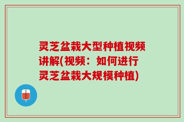 灵芝盆栽大型种植视频讲解(视频：如何进行灵芝盆栽大规模种植)