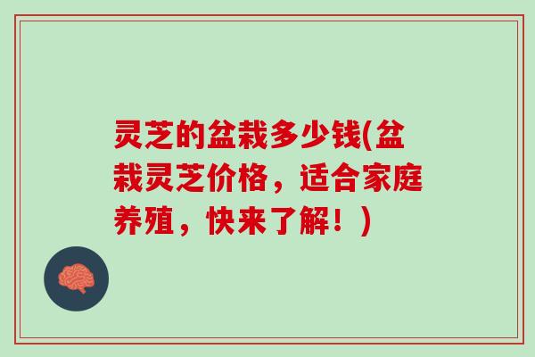 灵芝的盆栽多少钱(盆栽灵芝价格，适合家庭养殖，快来了解！)