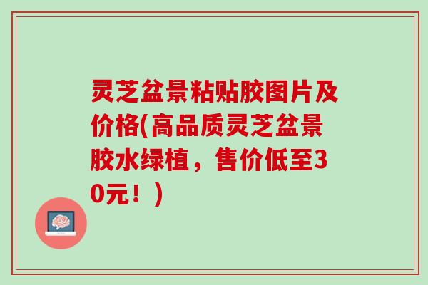 灵芝盆景粘贴胶图片及价格(高品质灵芝盆景胶水绿植，售价低至30元！)