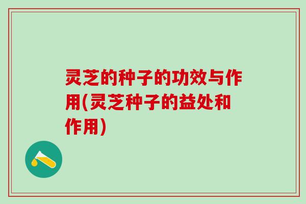 灵芝的种子的功效与作用(灵芝种子的益处和作用) 灵芝的种子的功效与作用(灵芝种子的益处和作用)