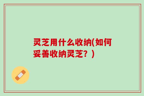 灵芝用什么收纳(如何妥善收纳灵芝？)