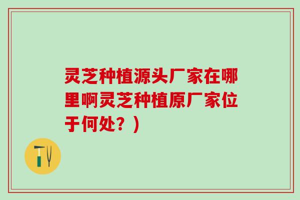 灵芝种植源头厂家在哪里啊灵芝种植原厂家位于何处?) 灵芝种植源头厂家在哪里啊灵芝种植原厂家位于何处?)
