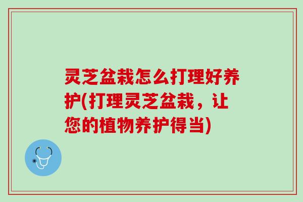 灵芝盆栽怎么打理好养护(打理灵芝盆栽，让您的植物养护得当)