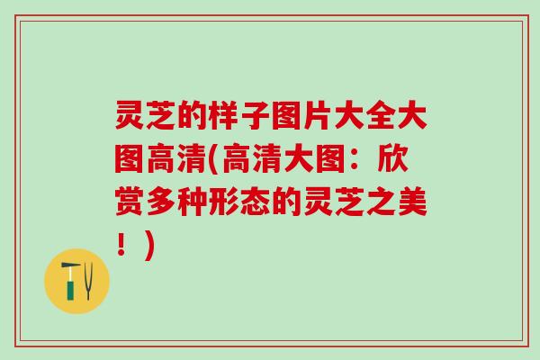 灵芝的样子图片大全大图高清(高清大图：欣赏多种形态的灵芝之美！)
