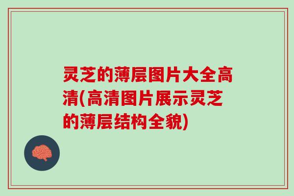 灵芝的薄层图片大全高清(高清图片展示灵芝的薄层结构全貌)