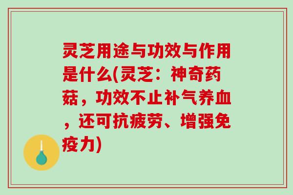 灵芝用途与功效与作用是什么(灵芝：神奇药菇，功效不止补气养血，还可抗疲劳、增强免疫力)