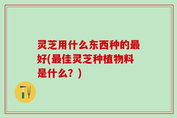 灵芝用什么东西种的最好(最佳灵芝种植物料是什么？)