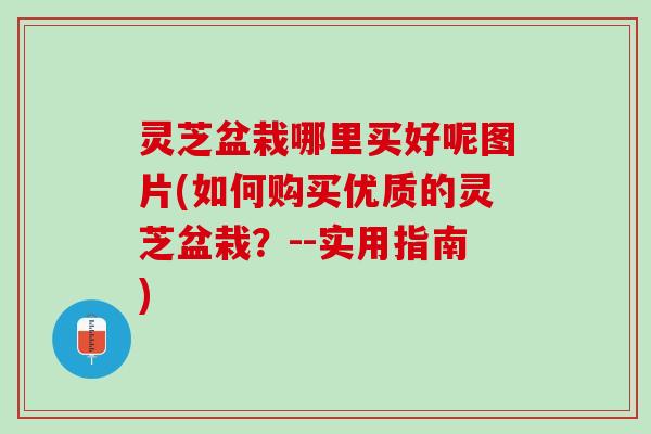 灵芝盆栽哪里买好呢图片(如何购买优质的灵芝盆栽?--实用指南) 灵芝盆栽哪里买好呢图片(如何购买优质的灵芝盆栽?--实用指南)
