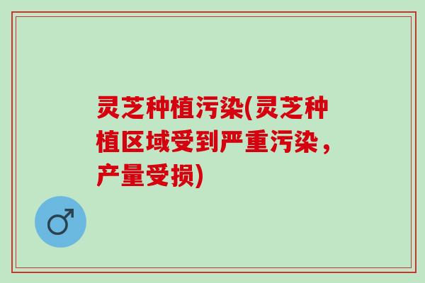 灵芝种植污染(灵芝种植区域受到严重污染,产量受损) 灵芝种植污染(灵芝种植区域受到严重污染,产量受损)