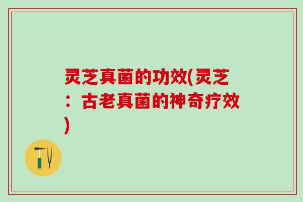 灵芝真菌的功效(灵芝：古老真菌的神奇疗效)