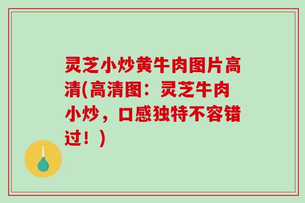 灵芝小炒黄牛肉图片高清(高清图:灵芝牛肉小炒,口感独特不容错过!) 灵芝小炒黄牛肉图片高清(高清图:灵芝牛肉小炒,口感独特不容错过!)