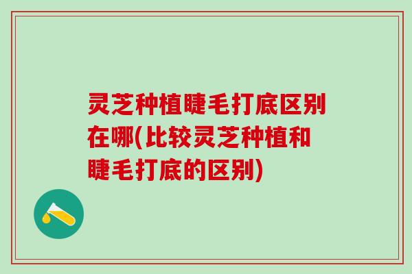 灵芝种植睫毛打底区别在哪(比较灵芝种植和睫毛打底的区别)