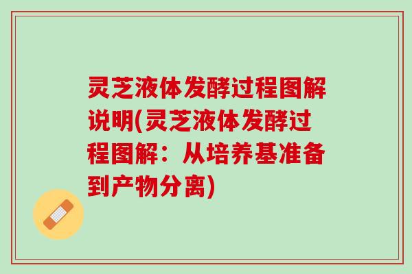 灵芝液体发酵过程图解说明(灵芝液体发酵过程图解：从培养基准备到产物分离)