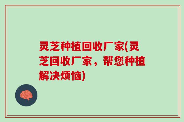 灵芝种植回收厂家(灵芝回收厂家，帮您种植解决烦恼)