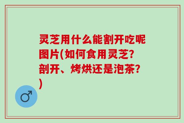 灵芝用什么能割开吃呢图片(如何食用灵芝？剖开、烤烘还是泡茶？)