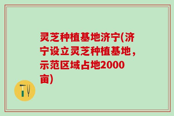 灵芝种植基地济宁(济宁设立灵芝种植基地,示范区域占地2000亩) 灵芝种植基地济宁(济宁设立灵芝种植基地,示范区域占地2000亩)