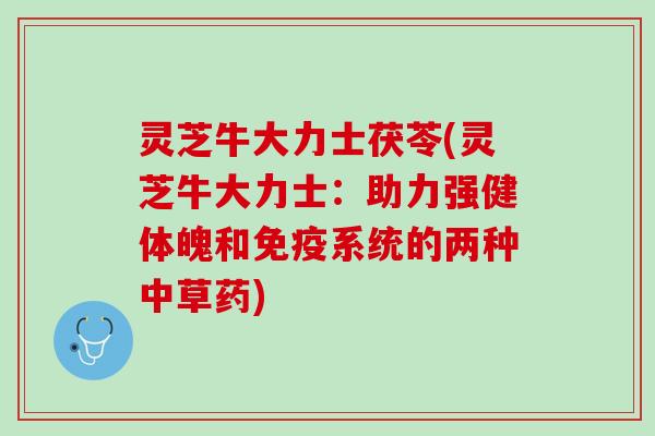 灵芝牛大力士茯苓(灵芝牛大力士:助力强健体魄和免疫系统的两种中草药) 灵芝牛大力士茯苓(灵芝牛大力士:助力强健体魄和免疫系统的两种中草药)