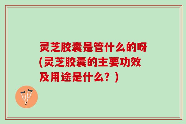 灵芝胶囊是管什么的呀(灵芝胶囊的主要功效及用途是什么？)