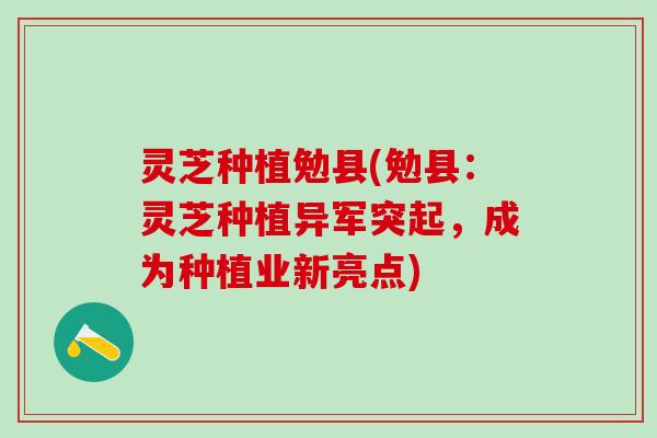 灵芝种植勉县(勉县：灵芝种植异军突起，成为种植业新亮点)