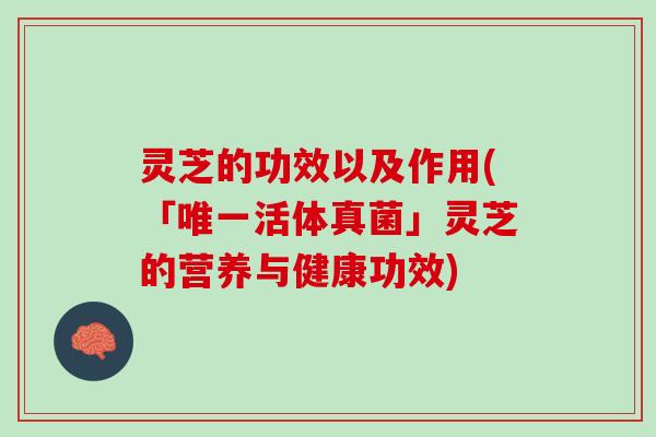 灵芝的功效以及作用(「活体真菌」灵芝的营养与健康功效) 灵芝的功效以及作用(「活体真菌」灵芝的营养与健康功效)