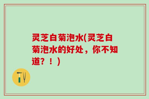 灵芝白菊泡水(灵芝白菊泡水的好处，你不知道？！)