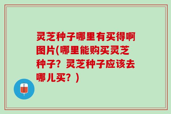 灵芝种子哪里有买得啊图片(哪里能购买灵芝种子?灵芝种子应该去哪儿买?) 灵芝种子哪里有买得啊图片(哪里能购买灵芝种子?灵芝种子应该去哪儿买?)