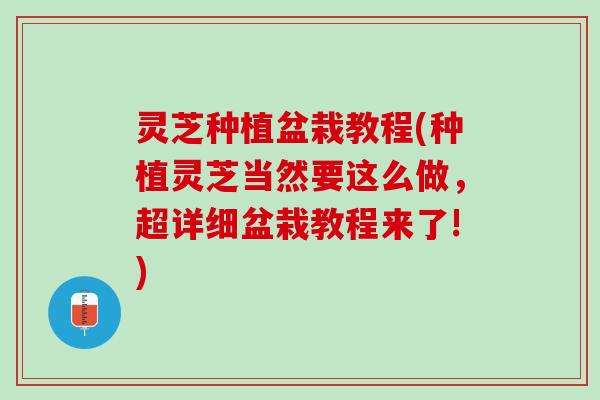 灵芝种植盆栽教程(种植灵芝当然要这么做，超详细盆栽教程来了!)