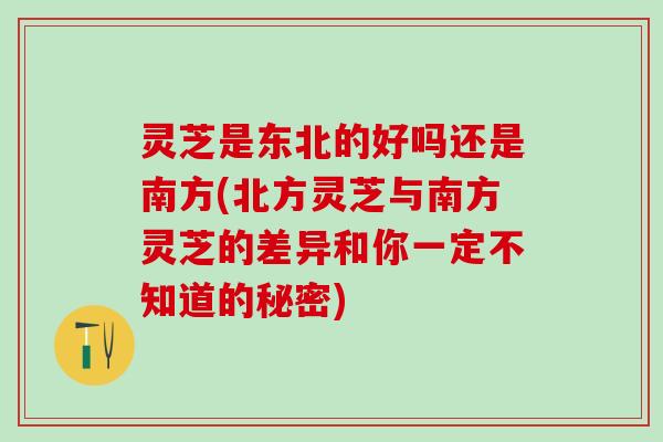 灵芝是东北的好吗还是南方(北方灵芝与南方灵芝的差异和你一定不知道的秘密)