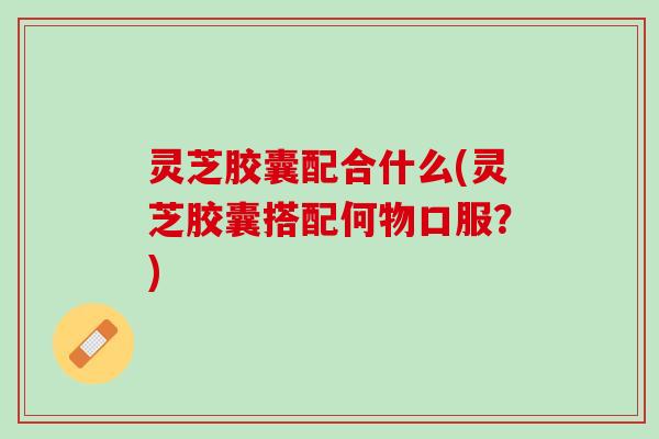 灵芝胶囊配合什么(灵芝胶囊搭配何物口服？)