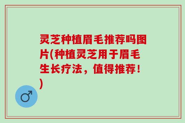 灵芝种植眉毛推荐吗图片(种植灵芝用于眉毛生长疗法,值得推荐!) 灵芝种植眉毛推荐吗图片(种植灵芝用于眉毛生长疗法,值得推荐!)