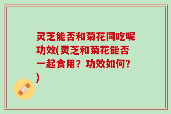 灵芝能否和菊花同吃呢功效(灵芝和菊花能否一起食用？功效如何？)