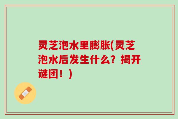 灵芝泡水里膨胀(灵芝泡水后发生什么?揭开谜团!) 灵芝泡水里膨胀(灵芝泡水后发生什么?揭开谜团!)