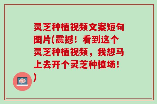 灵芝种植视频文案短句图片(震撼!看到这个灵芝种植视频,我想马上去开个灵芝种植场!) 灵芝种植视频文案短句图片(震撼!看到这个灵芝种植视频,我想马上去开个灵芝种植场!)