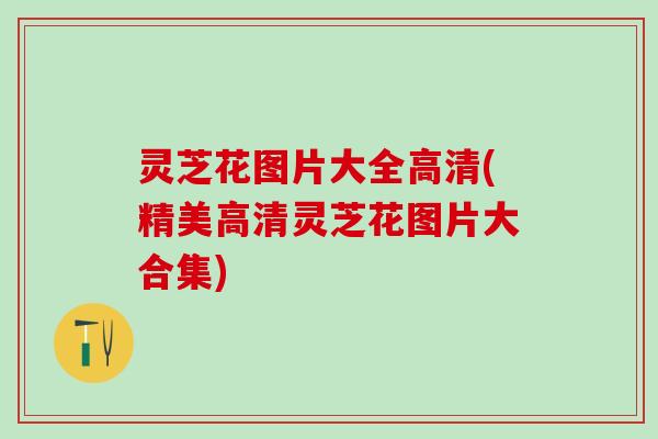 灵芝花图片大全高清(精美高清灵芝花图片大合集)