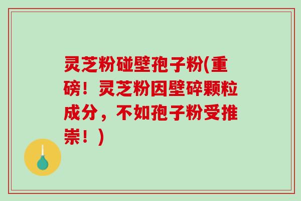 灵芝粉碰壁孢子粉(重磅！灵芝粉因壁碎颗粒成分，不如孢子粉受推崇！)
