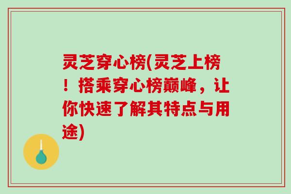 灵芝穿心榜(灵芝上榜！搭乘穿心榜巅峰，让你快速了解其特点与用途)