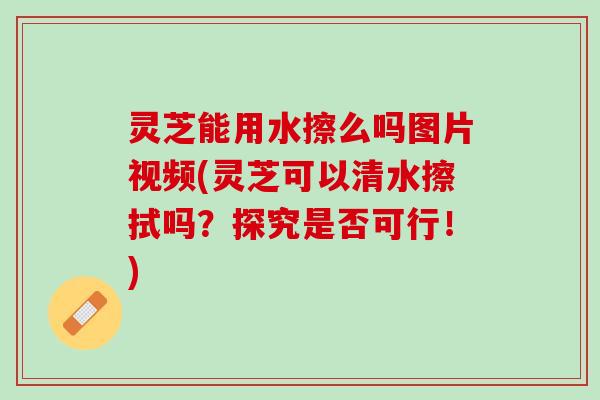 灵芝能用水擦么吗图片视频(灵芝可以清水擦拭吗？探究是否可行！)
